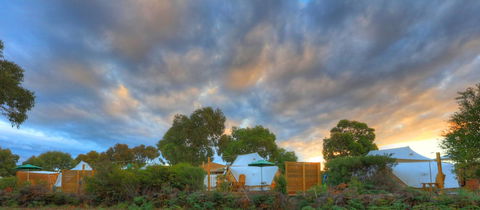 Scamander Sanctuary Holiday Park - Northern Rivers Accommodation 0