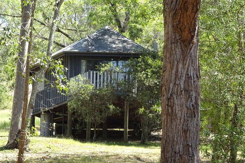 Barrington Tops Nest - Northern Rivers Accommodation 2