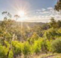 Skillogalee - Northern Rivers Accommodation