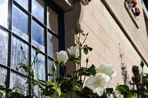 Blue Bell Inn - Northern Rivers Accommodation 2