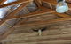 Rainy Hill Retreat - thumb 5