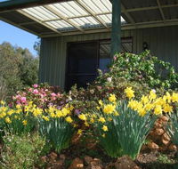 Nannup Riverview Cottage - Northern Rivers Accommodation