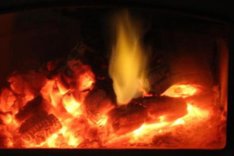 Wattle Grove Homestead Bed & Breakfast - Northern Rivers Accommodation 1