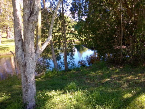 Eumundi Cottages Cottage 1 - Northern Rivers Accommodation 4