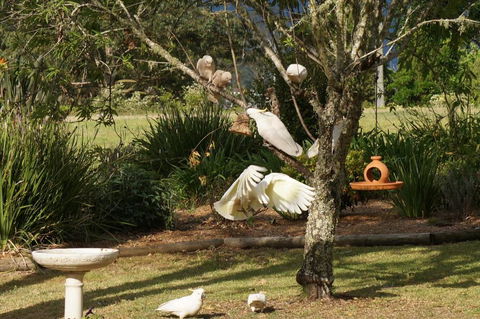Vicarage View Cottage - Northern Rivers Accommodation 5