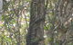 The Lodge Mapleton Falls - thumb 5