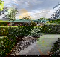 The Grapevine Motel - Northern Rivers Accommodation