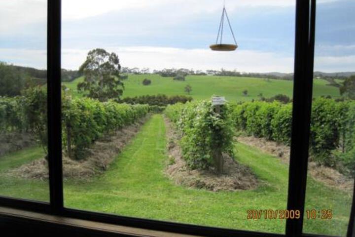 Whoorel ACT Northern Rivers Accommodation