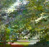 Banyan Tree Resort - Northern Rivers Accommodation