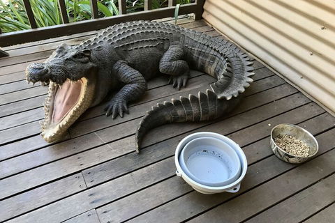 Kimberley Travellers Lodge - Hostel - Northern Rivers Accommodation 4