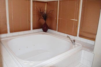 Square Bear - Northern Rivers Accommodation 4