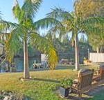The Oasis on Jacobs Drive - Northern Rivers Accommodation
