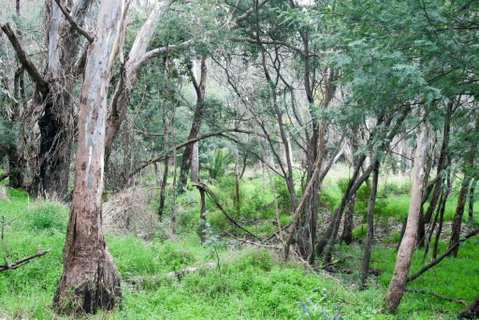 34 On Emily - Northern Rivers Accommodation 4