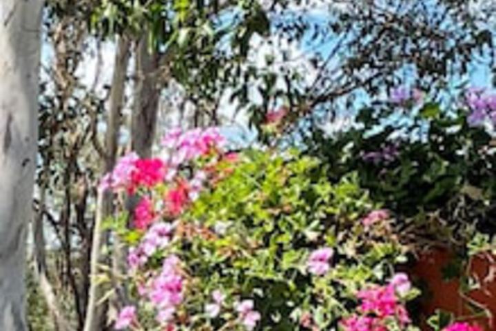 Anduramba QLD Northern Rivers Accommodation