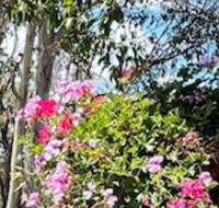 Crows Nest Motel - Northern Rivers Accommodation