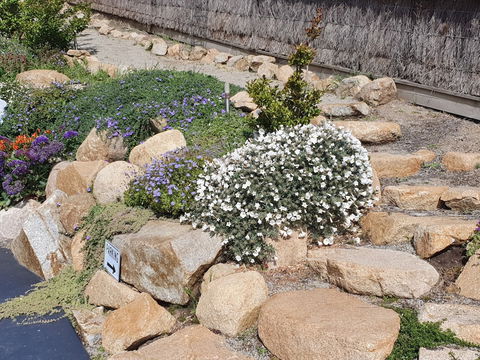 Sapphire Shores Luxury Retreat - Northern Rivers Accommodation 4
