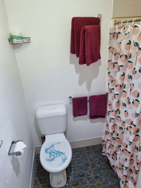 Taree Lodge Motel - Northern Rivers Accommodation 4