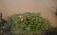 Riverdowns Cottage - thumb 1
