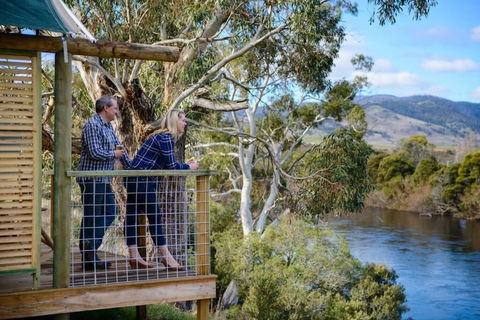 Truffle Lodge (Dinner, Bed & Breakfast) - Northern Rivers Accommodation 2