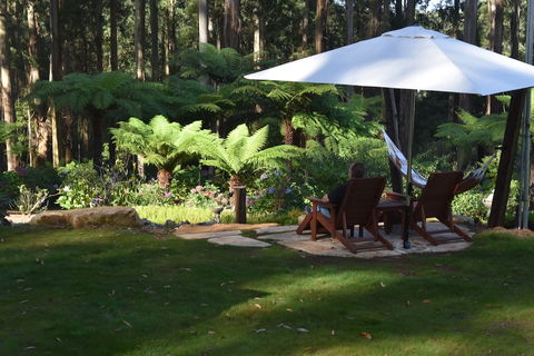 Forest Edge Cottage At Merrow Cottages - Northern Rivers Accommodation 5