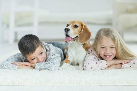 BOUTIQUE STAYS - Sandy Breeze 3 - Northern Rivers Accommodation 2
