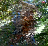 Rain Forest Gem - Northern Rivers Accommodation