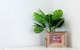 The Shoal Apartments Unit 201 / 4 8 Bullecourt Street - thumb 1