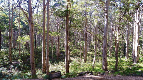 Margaret River Beach Apartments - Northern Rivers Accommodation 1