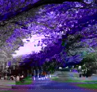 Park view on the City Fringe - Northern Rivers Accommodation