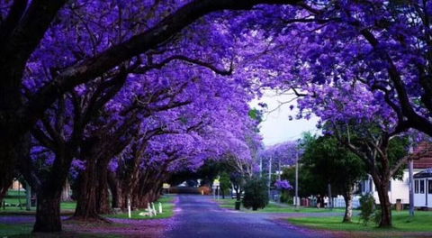 Park View On The City Fringe - Northern Rivers Accommodation 0