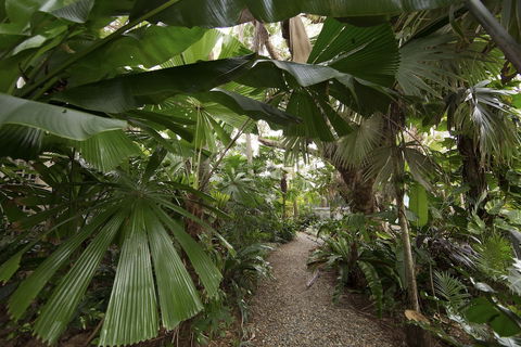 Castaways Resort & Spa Rainforest - Northern Rivers Accommodation 6