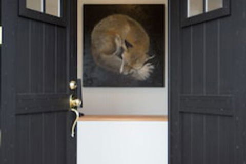 Fox On The Run - Motel Kilmore - Northern Rivers Accommodation 0