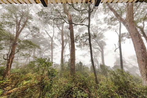 The Chalet - Northern Rivers Accommodation 1