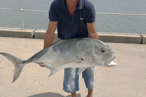 Boatel Cairns - Northern Rivers Accommodation 6