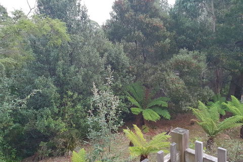 Roland B&B - Northern Rivers Accommodation 1