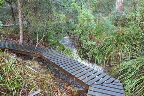 Roland B&B - Northern Rivers Accommodation 6