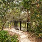 15 Joanne Street Marcoola - Northern Rivers Accommodation 0