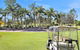 Palms Breeze - thumb 0