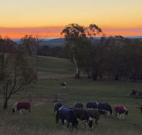 High Country Trail Rides  Farm Stay - Northern Rivers Accommodation