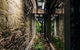 Moss Hotel - thumb 5