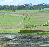 Yea Woodduck Cottage - Northern Rivers Accommodation