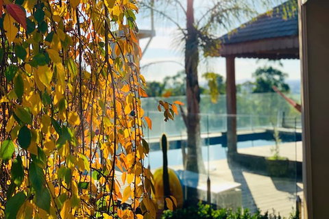 Grand Gippsland Home Sleeps Up To 28 - Northern Rivers Accommodation 2