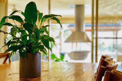 Grand Gippsland Home Sleeps Up To 28 - Northern Rivers Accommodation 4