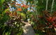 Mirage Luxury Villas - thumb 5