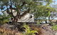 Mt Larcom Tourist Park - thumb 2