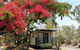 Mt Larcom Tourist Park - thumb 0
