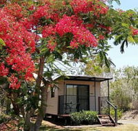 Mt Larcom Tourist Park - Northern Rivers Accommodation