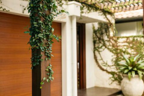 ESPRIT 2 PALM COVE BRAND NEW - Northern Rivers Accommodation 0