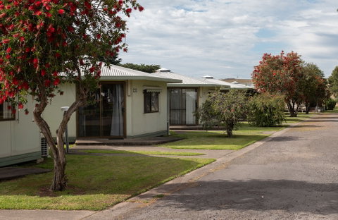 Pine Country Caravan Park - Northern Rivers Accommodation 0