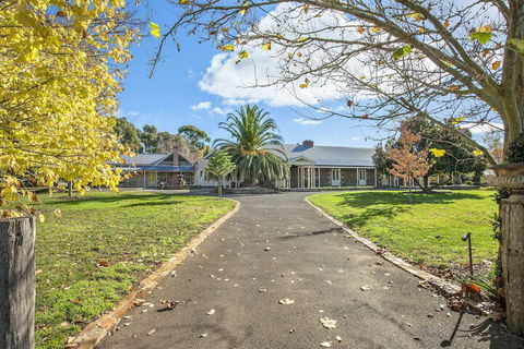 Orchards At Spring Vale Farm - Northern Rivers Accommodation 2